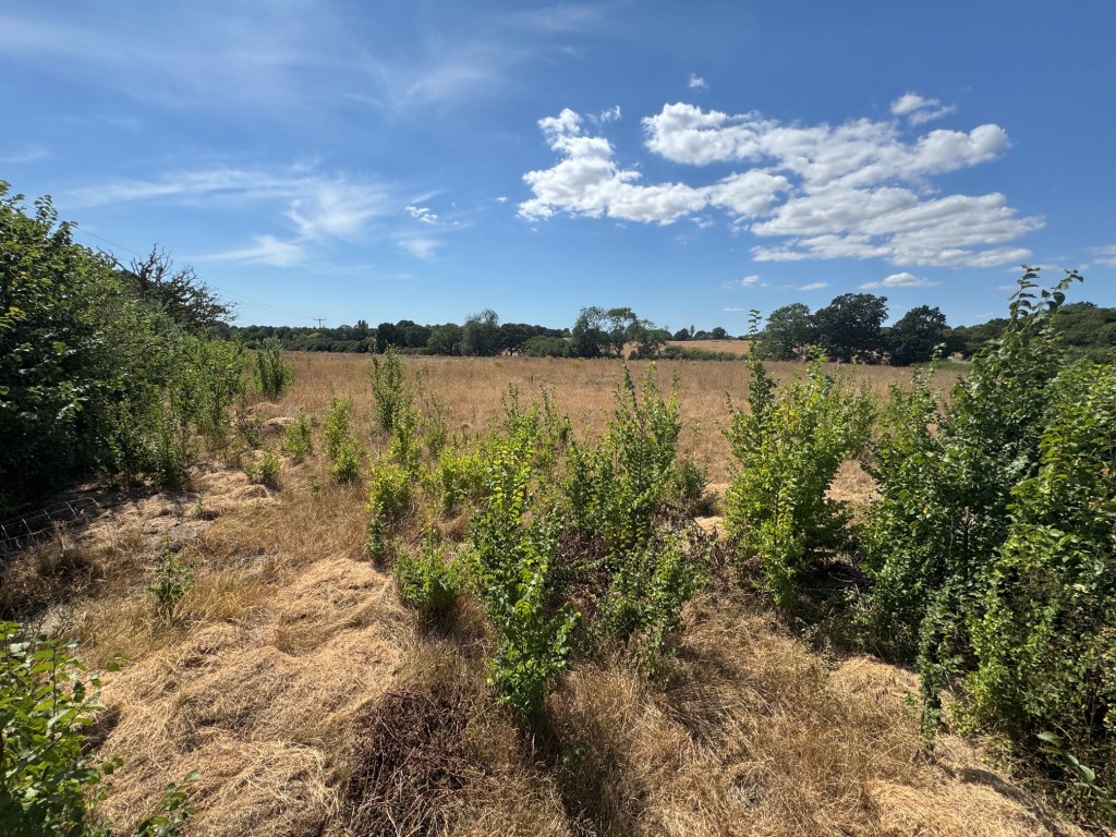 Lot: 85 - FREEHOLD LAND EXTENDING TO ALMOST 8.5 ACRES - View of the land 3